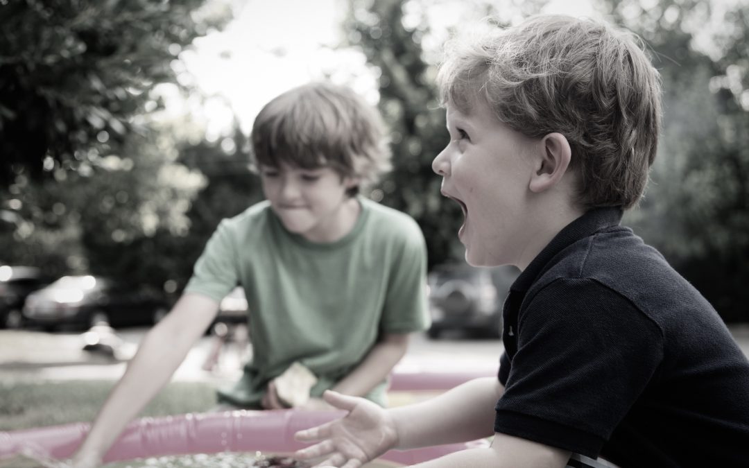 Cultivating Emotional Intelligence