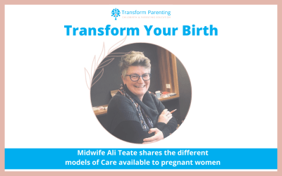Midwife Ali Teate shares the different models of Care available to pregnant women | Episode 26